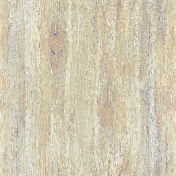 Gemilang Matoa Coffee 40x40